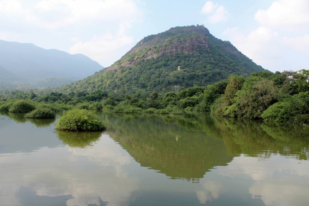 Chinnar Wildlife Sanctuary